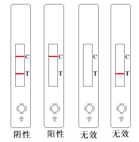 呋喃西林結果圖示-瑞奇生物 呋喃西林結果圖示-瑞奇生物