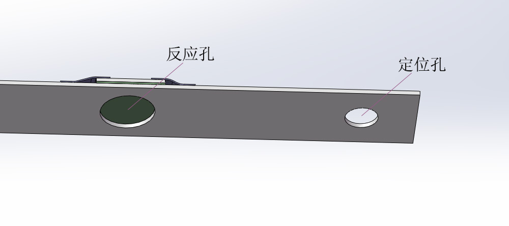 圖片5 圖片5